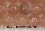 CMS1896 15.5 inches 8mm round moonstone gemstone beads