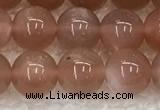 CMS1897 15.5 inches 8mm round moonstone gemstone beads