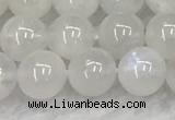 CMS1902 15.5 inches 8mm round white moonstone gemstone beads