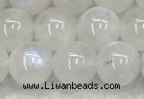 CMS1903 15.5 inches 10mm round white moonstone gemstone beads