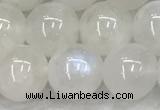 CMS1904 15.5 inches 12mm round white moonstone gemstone beads