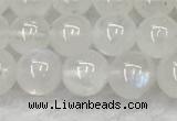 CMS1906 15.5 inches 6mm round white moonstone gemstone beads