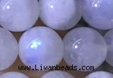 CMS1923 15.5 inches 10mm round white moonstone gemstone beads