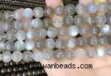 CMS1943 15.5 inches 10mm round grey moonstone beads wholesale