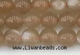 CMS1956 15.5 inches 5mm round natural moonstone gemstone beads