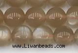 CMS1957 15.5 inches 6mm round natural moonstone gemstone beads