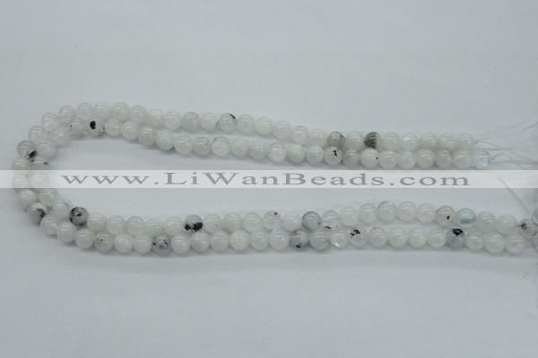 CMS201 15.5 inches 6mm round moonstone gemstone beads wholesale