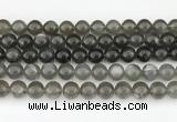 CMS2022 15.5 inches 10mm round black moonstone beads wholesale