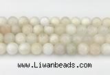 CMS2029 15.5 inches 10mm round white moonstone beads wholesale