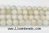 CMS2030 15.5 inches 12mm round white moonstone beads wholesale