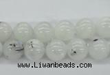 CMS204 15.5 inches 10mm round moonstone gemstone beads wholesale