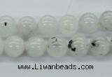 CMS205 15.5 inches 11mm round moonstone gemstone beads wholesale