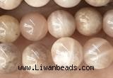 CMS2054 15.5 inches 6mm round moonstone gemstone beads