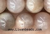 CMS2055 15.5 inches 8mm round moonstone gemstone beads