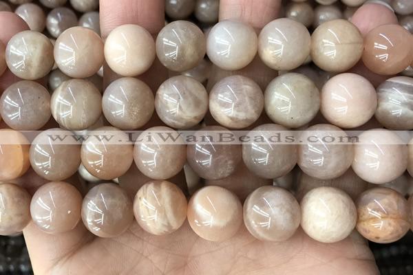 CMS2057 15.5 inches 12mm round moonstone gemstone beads