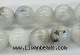 CMS207 15.5 inches 14mm round moonstone gemstone beads wholesale