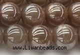 CMS2083 15 inches 10mm round AB-color moonstone beads