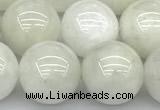 CMS2097 15 inches 10mm round white moonstone beads