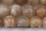 CMS2111 15 inches 8mm round moonstone beads