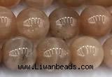 CMS2112 15 inches 9mm round moonstone beads