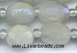 CMS2130 15 inches 8*10mm - 9*12mm faceted nuggets AB-color moonstone beads