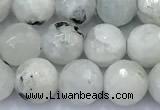 CMS2141 15 inches 8mm faceted round white moonstone beads