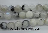 CMS216 15.5 inches 8mm round white moonstone gemstone beads