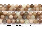 CMS2275 15 inches 10mm round rainbow moonstone gemstone beads