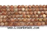 CMS2281 15 inches 8mm faceted round moonstone beads