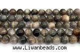 CMS2289 15 inches 10mm round grey moonstone beads wholesale