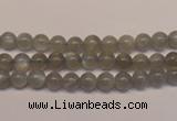 CMS300 15.5 inches 5mm round natural grey moonstone beads wholesale