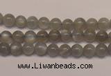 CMS302 15.5 inches 7mm round natural grey moonstone beads wholesale