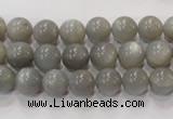 CMS304 15.5 inches 9mm round natural grey moonstone beads wholesale