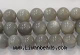 CMS305 15.5 inches 10mm round natural grey moonstone beads wholesale