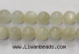 CMS311 15.5 inches 6mm round natural moonstone beads wholesale