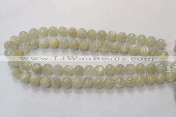 CMS311 15.5 inches 6mm round natural moonstone beads wholesale