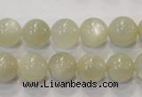 CMS313 15.5 inches 10mm round natural moonstone beads wholesale