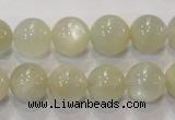 CMS314 15.5 inches 12mm round natural moonstone beads wholesale