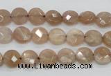 CMS43 15.5 inches 8mm faceted coin moonstone gemstone beads