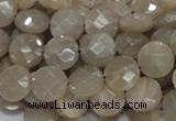 CMS44 15.5 inches 10mm faceted coin moonstone gemstone beads