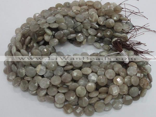 CMS46 15.5 inches 14mm faceted coin moonstone gemstone beads