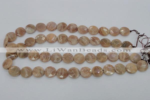 CMS47 15.5 inches 16mm faceted coin moonstone gemstone beads