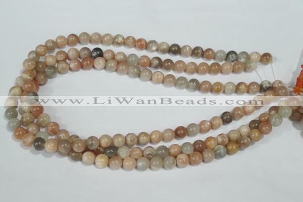 CMS503 15.5 inches 8mm round moonstone beads wholesale