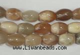 CMS511 15.5 inches 8*12mm rice moonstone beads wholesale