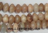 CMS519 15.5 inches 6*10mm rondelle moonstone beads wholesale