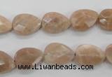 CMS53 15.5 inches 10*14mm faceted flat teardrop moonstone beads