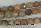 CMS571 15.5 inches 8mm faceted round moonstone beads wholesale