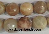 CMS575 15.5 inches 16mm faceted round moonstone beads wholesale