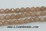 CMS58 15.5 inches 6mm faceted round moonstone gemstone beads