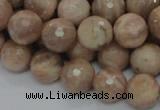 CMS61 15.5 inches 12mm faceted round moonstone gemstone beads